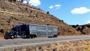 Taxa TollRo aplicată transportatorilor generează costuri suplimentare pentru economia reală